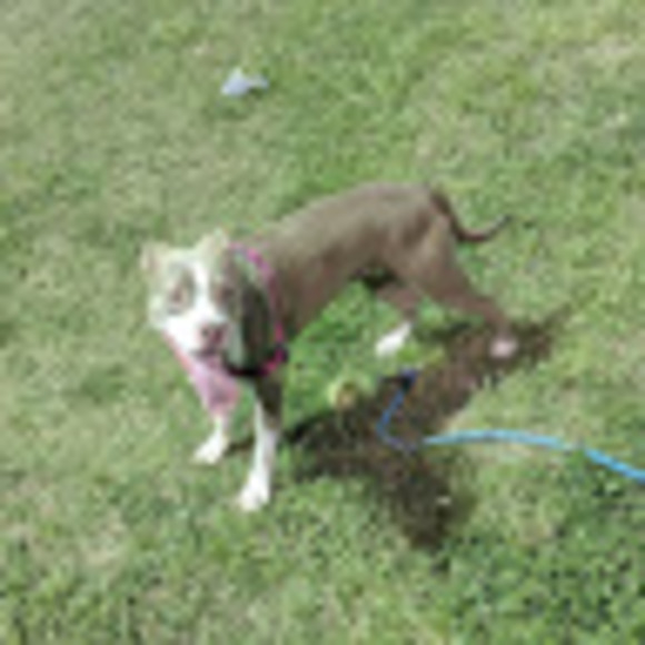 Meet your Posher, Patrick - Picture 1 of 1